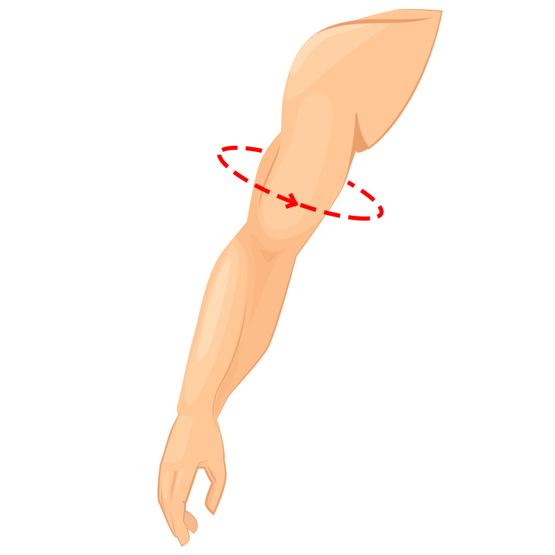 Arm Circumference Measurement Guide