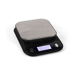 Professional Weighing Devices