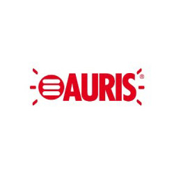 Auris Magnetic