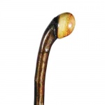 Blackthorn Walking Sticks