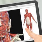 Anatomical Software