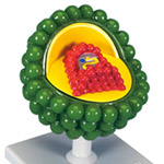 Virus & Disease Models