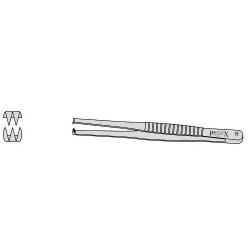 Cairn Dissecting Forceps With 2 Into 3 Teeth 205mm Straight