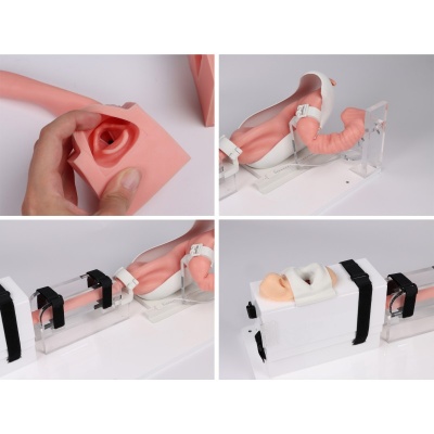 Erler Zimmer EGD EsophagoGastroDuodenoscopy Medical Simulator