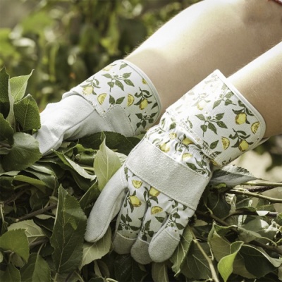 Briers Sicilian Lemon Garden Rigger Thorn-Proof Gardening Gloves