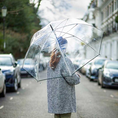 Fulton Clearview Non-Conductive Clear Umbrella