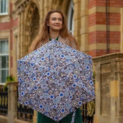 Fulton Tiny 2 Foldable Umbrella (The Crown Jewels)