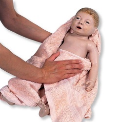 Male Baby Care Model