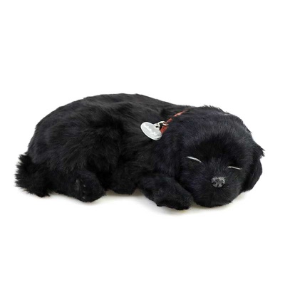 Precious Petzzz Black Labrador Battery Operated Toy Dog