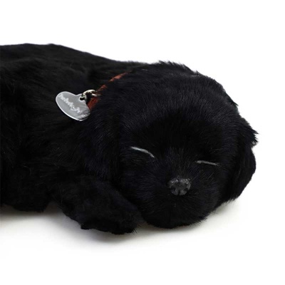 Precious Petzzz Black Labrador Battery Operated Toy Dog
