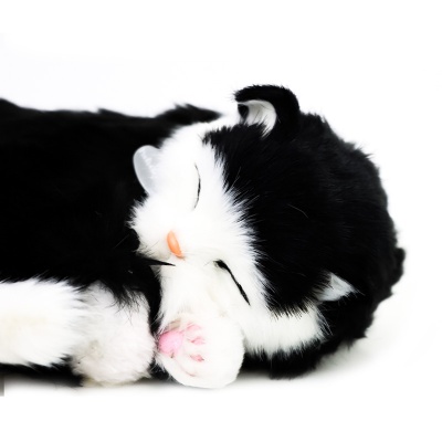 Precious Petzzz Black and White Battery Operated Toy Cat