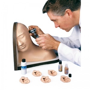 Ear Examination Simulator