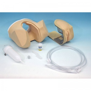 Female Catheterisation and Enema Model