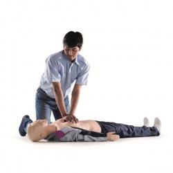 Laerdal Resusci Anne QCPR AED Mannequin (Full Body in Trolley Suitcase)