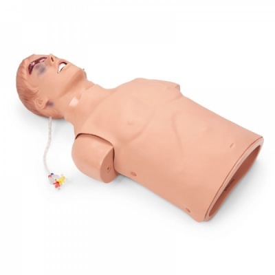 Simulaids Critical Airway Management Trainer Manikin