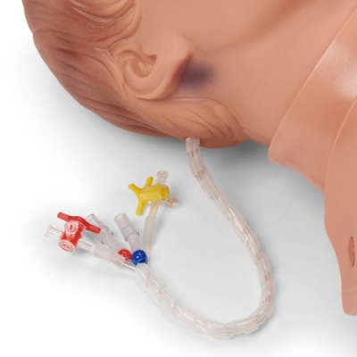 Simulaids Critical Airway Management Trainer Manikin