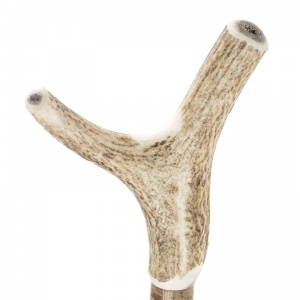 Antler Thumbstick Handle Walking Stick