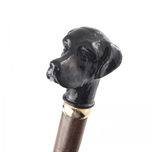 Black Labrador Handle Hazel Walking Stick