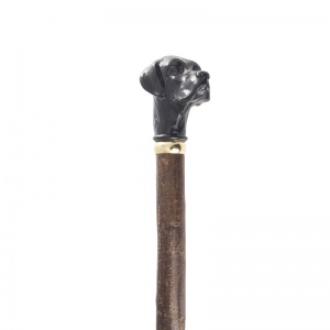 Black Labrador Handle Hazel Walking Stick