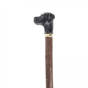 Black Labrador Handle Hazel Walking Stick