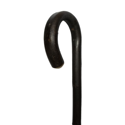 Chestnut Bark Crook