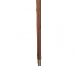 Crook Chestnut Children's Walking Stick