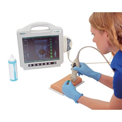 Erler Zimmer Vascular Access Ultrasound Training Phantom