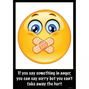 My Angry Face Consequences of Anger Posters (Set of 10)