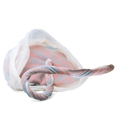 Fetus Simulation Model for Birthing Procedures