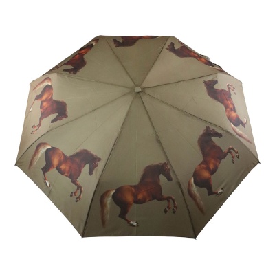 Fulton Minilite 2 National Gallery Foldable Umbrella (Whistlejacket)