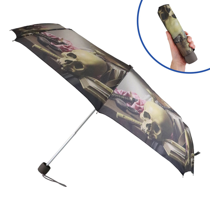 Fulton Minilite 2 National Gallery Foldable Umbrella (Still Life)