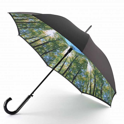 Fulton Bloomsbury Ladies Automatic Luxury Walking Umbrella (Sunburst)