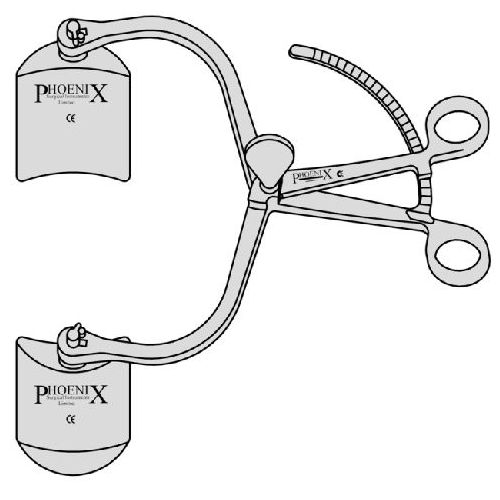 Pozzi Abdominal Retractor With Bivalve Swivel Blades 250mm