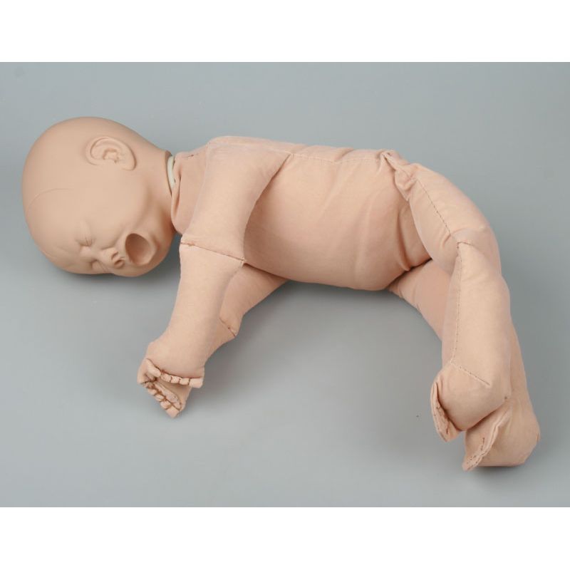 Foetus Doll with Placenta and Pelvis | Health and Care