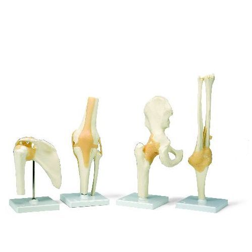 Functional Shoulder Joint