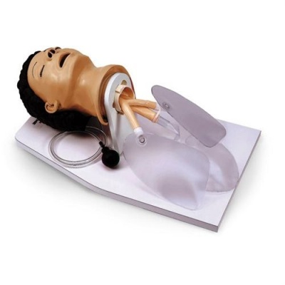 Adult Airway Management Trainer with Stand | Health and Care