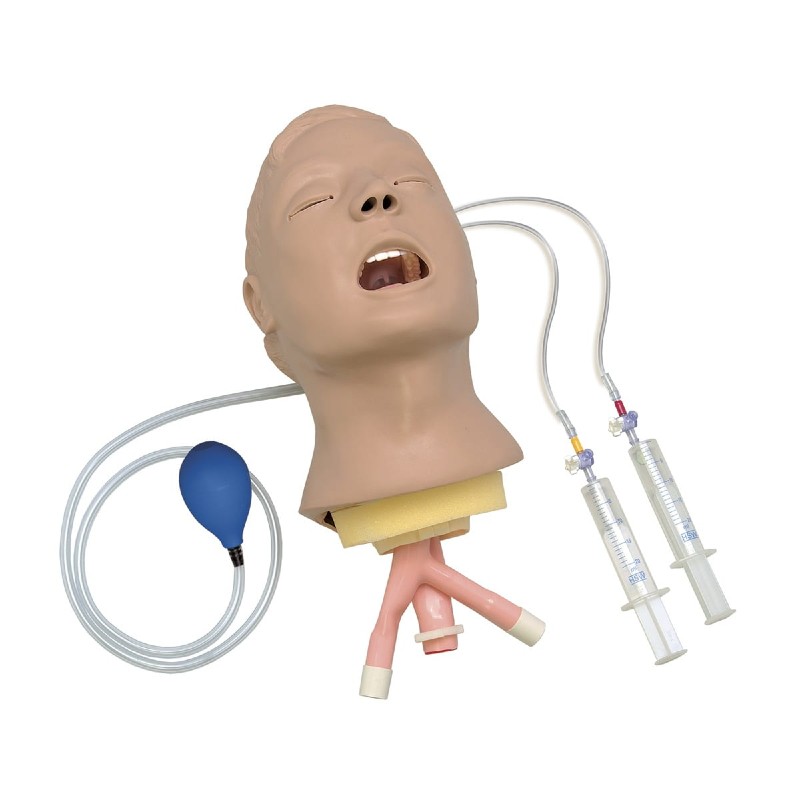 Lifeform Advanced Airway Trainer Head Health And Care