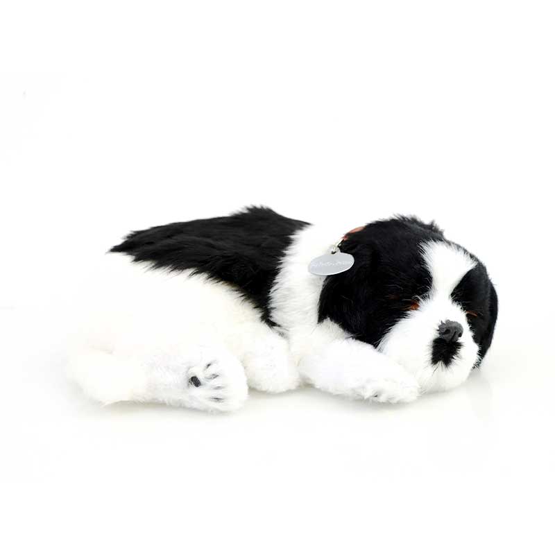 Precious Petzzz Border Collie Battery Operated Toy Dog