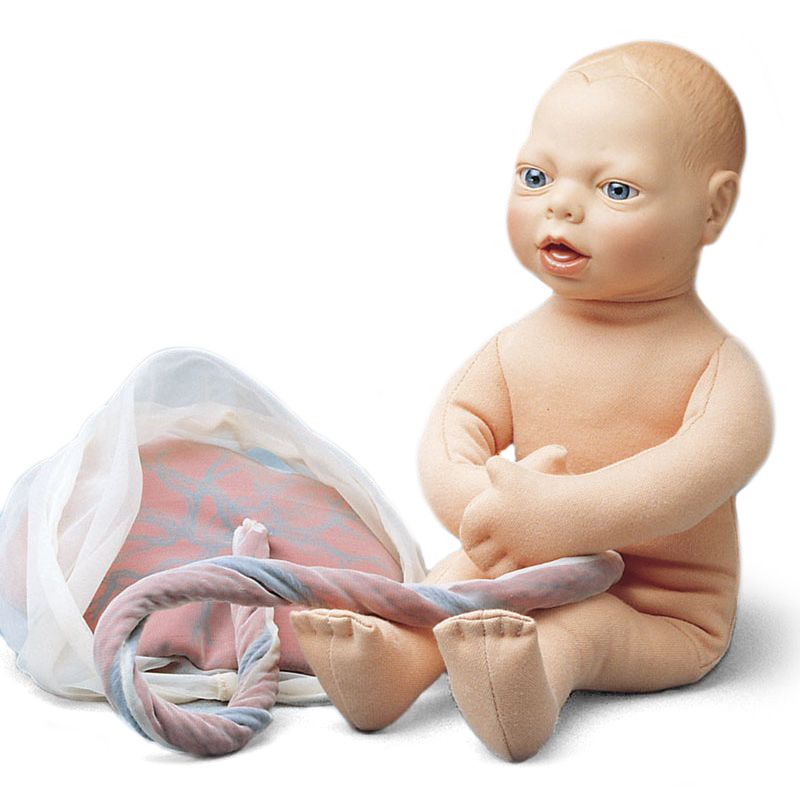 Full Term Foetus Doll | Health and Care