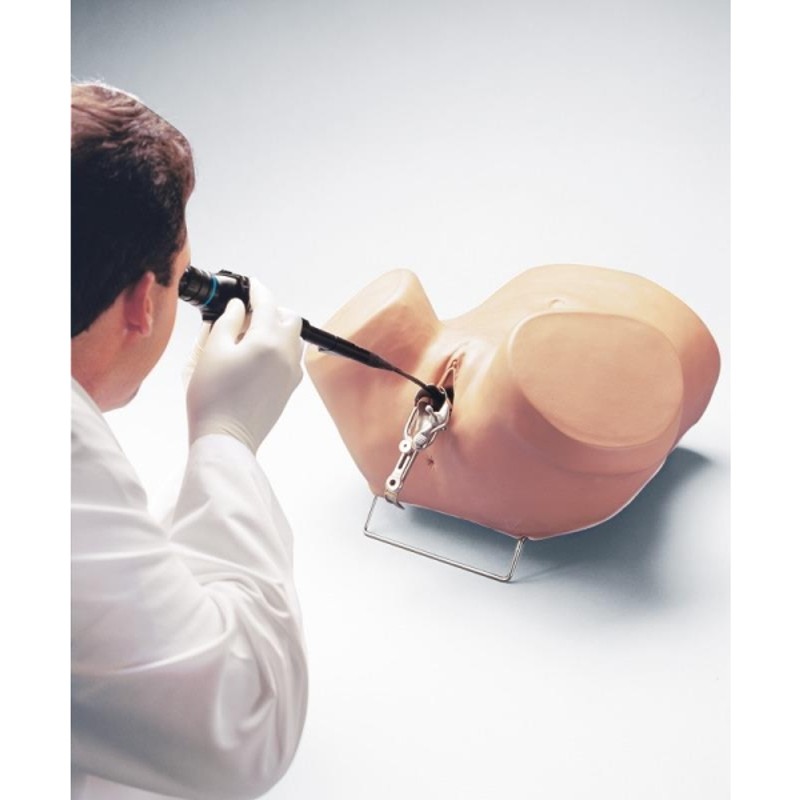 Hysteroscopy Simulator Model