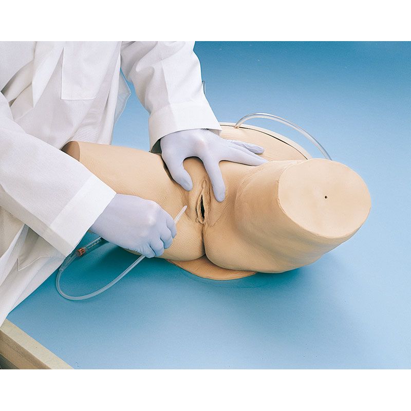 Female Catheterisation Simulator