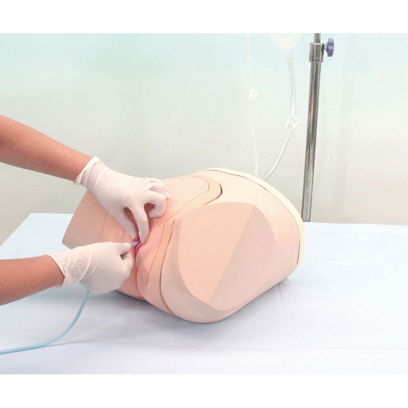 Female Catheterisation and Enema Model