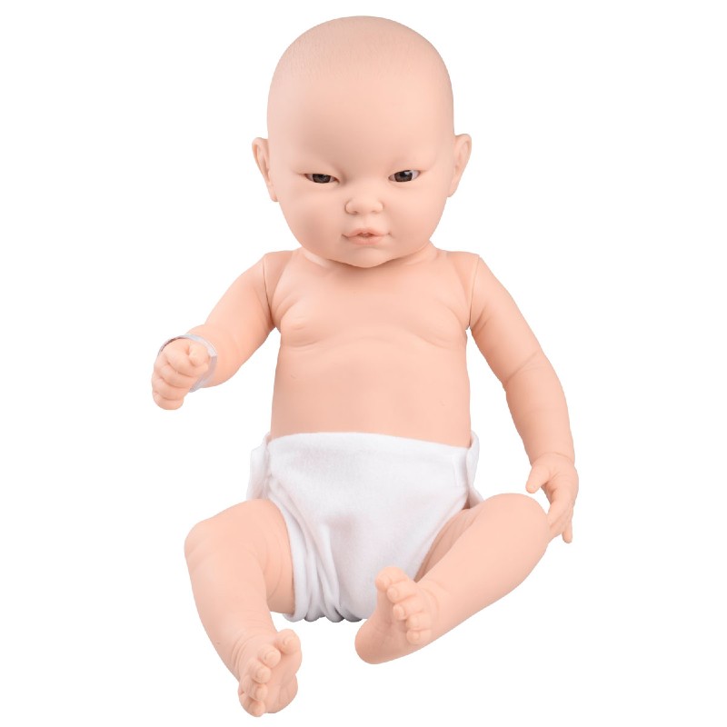 3B Scientific Baby Care Model (Male, Asian)