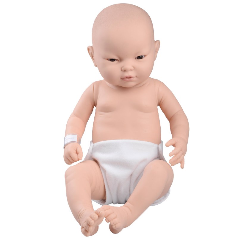 3B Scientific Baby Care Model (Female, Asian)