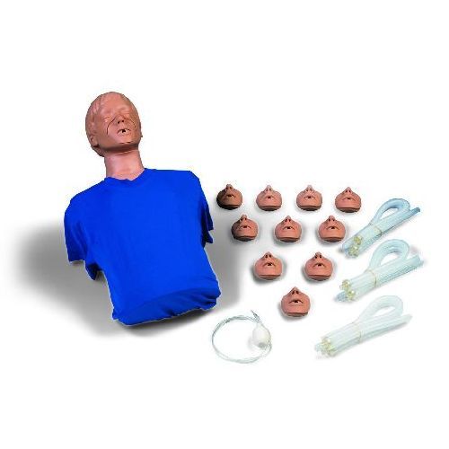 Cpr Torso