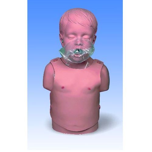 Child Cpr Torso