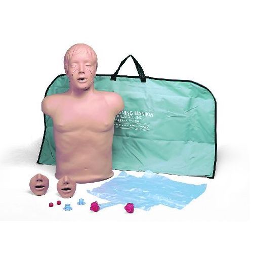 Cpr Torso