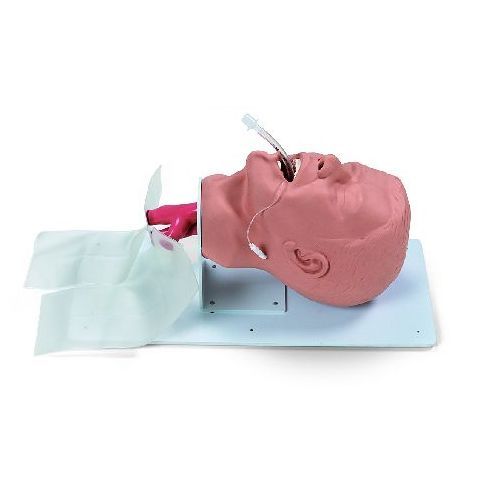 Economy Adult Airway Management Trainer