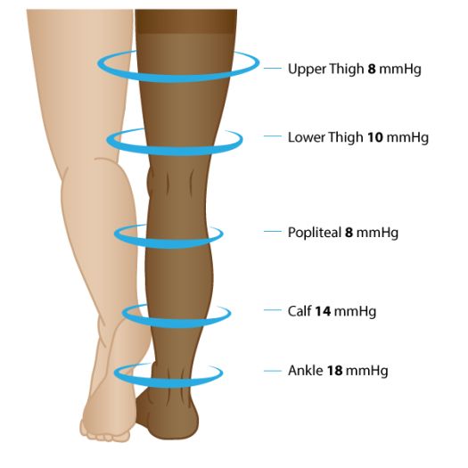 T.E.D. Knee Length Anti-Embolism Stockings Small/ Regular – Save Rite  Medical