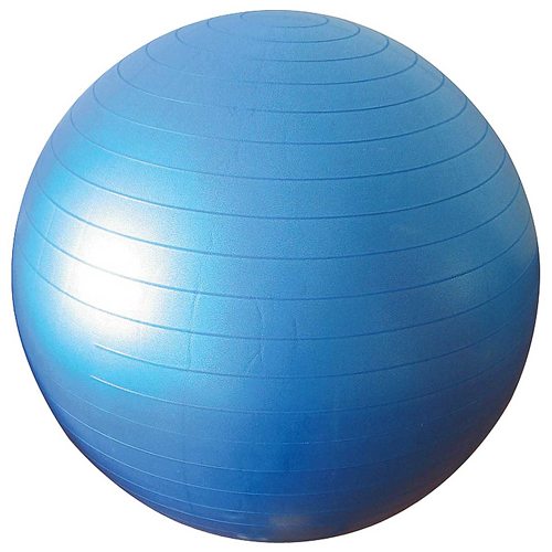 extra large swiss ball